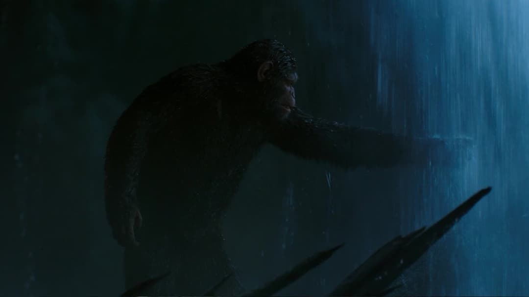 Planet der Affen - Survival backdrop 20