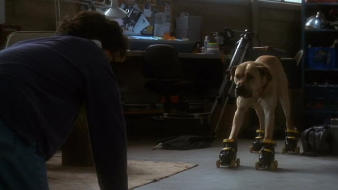 Lügen haben lange Beine backdrop 8