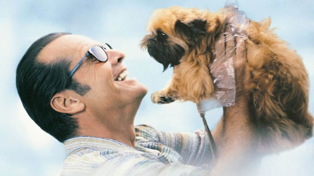 Краще не буває backdrop 20