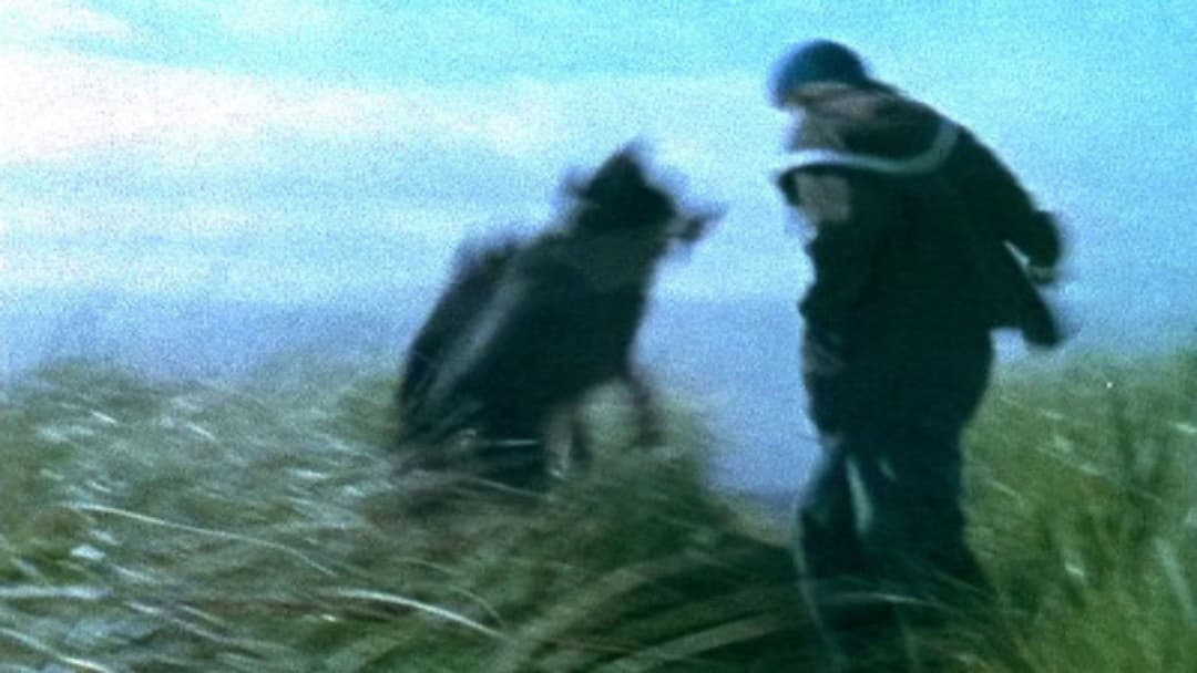 Paranoid Park backdrop 11