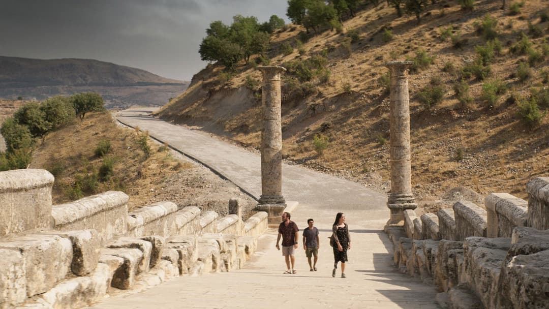 Про траву, що засихає backdrop 12