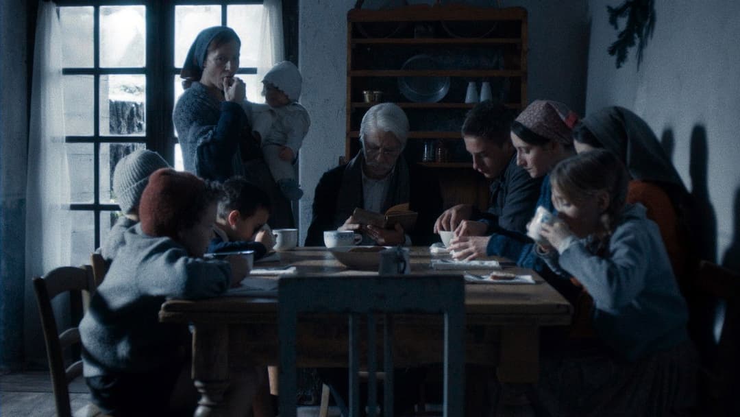 Вермільйо backdrop 5