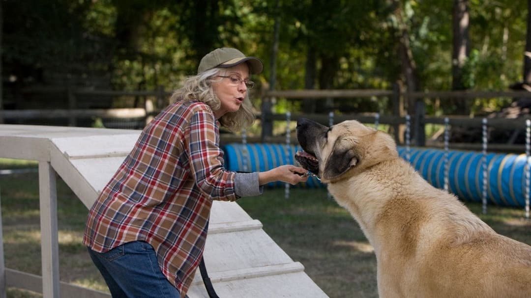 Щасливчик backdrop 17