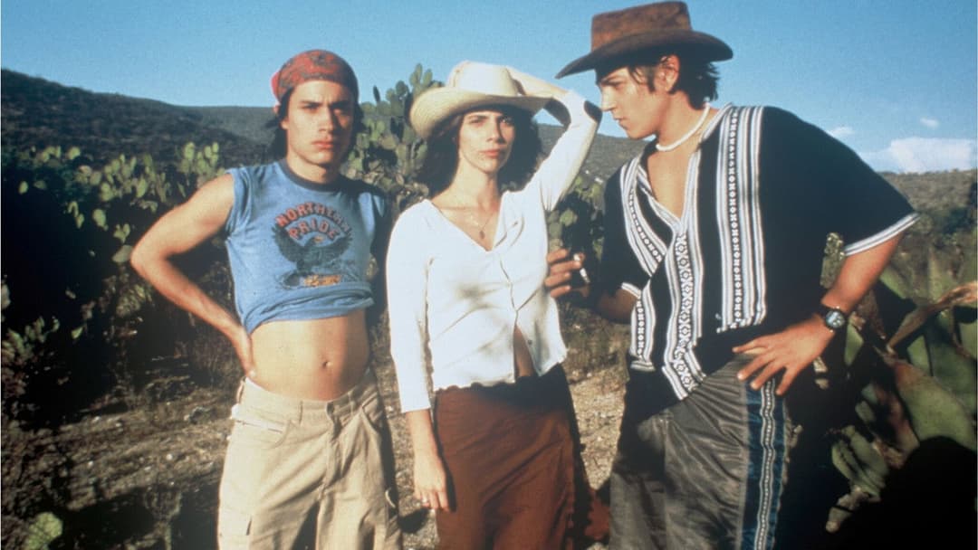 Y Tu Mama Tambien - Lust for Life backdrop 6