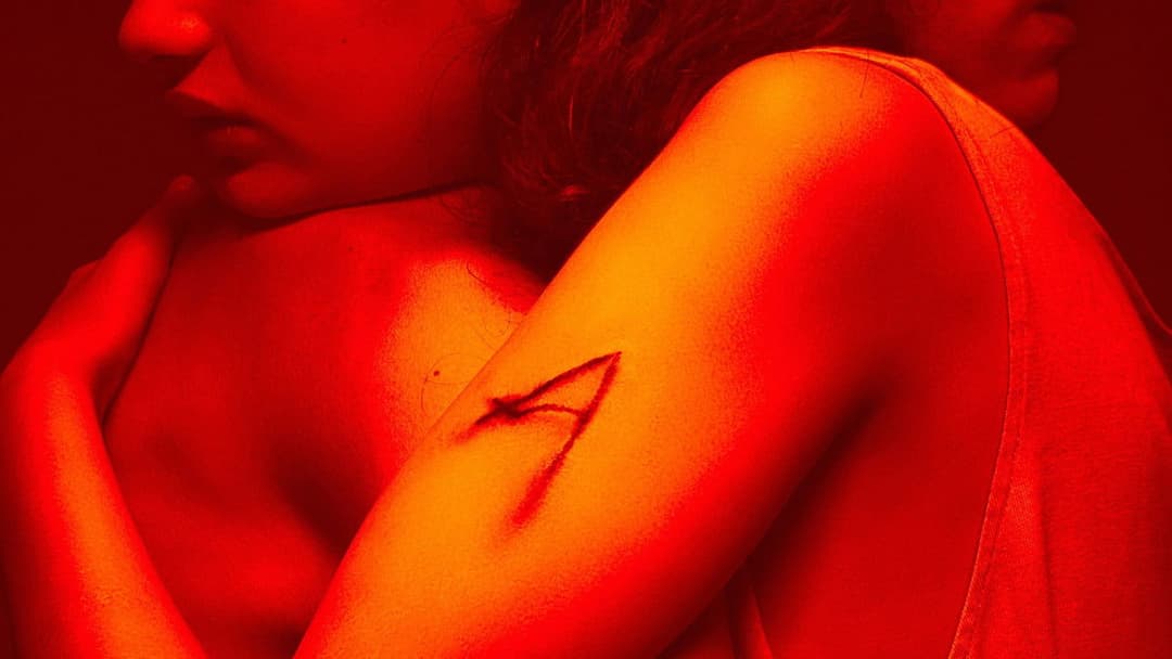 Альфа backdrop 3