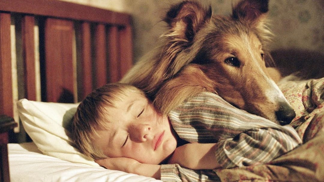 Lassie kehrt zurück backdrop 1