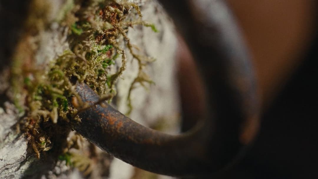 Die Nickel Boys backdrop 19