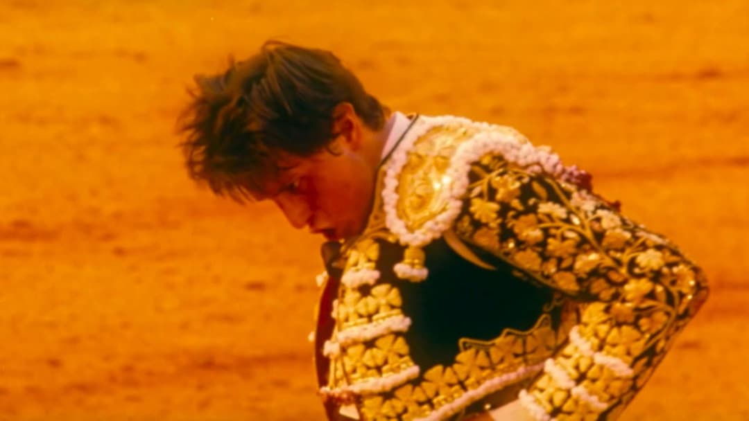 Вечори самоти backdrop 14