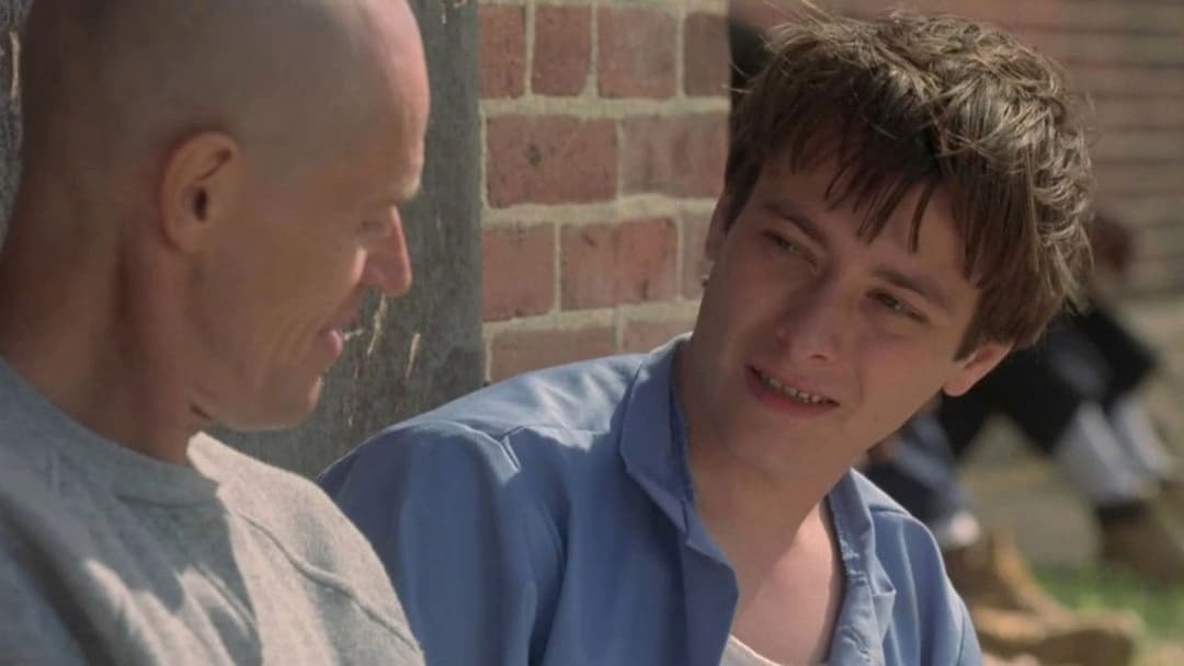 Animal Factory backdrop 4