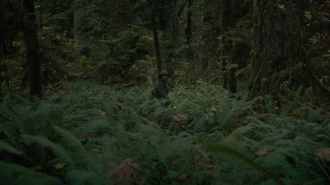 First Cow backdrop 17