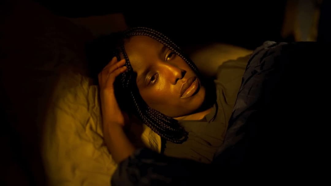 Saint Omer backdrop 6