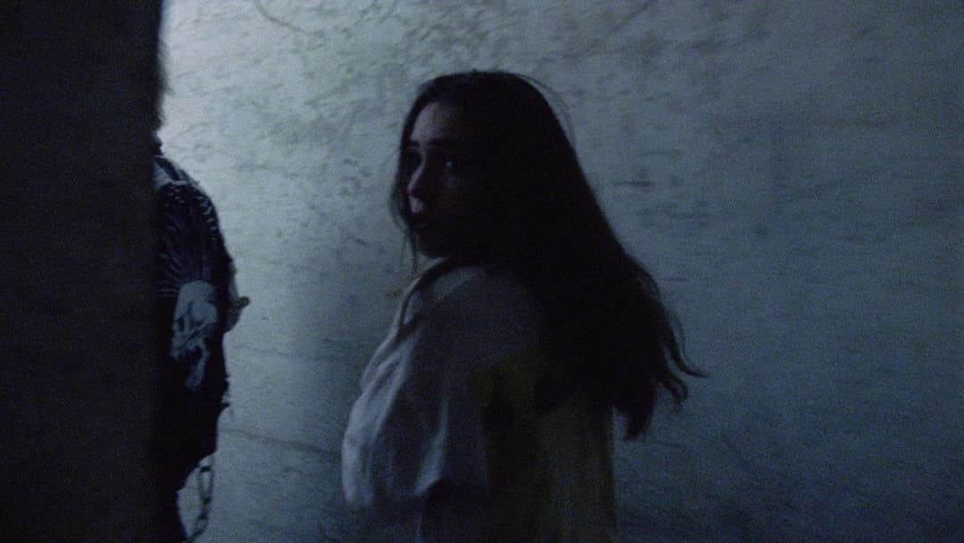 The Sweet East backdrop 12