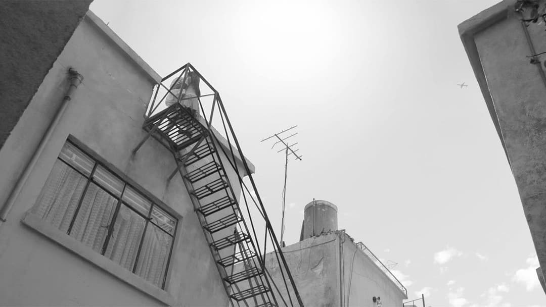 Рома backdrop 11