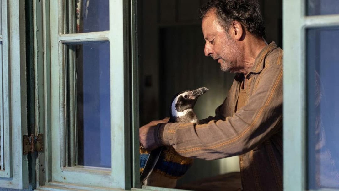 Мій друг пінгвін backdrop 4