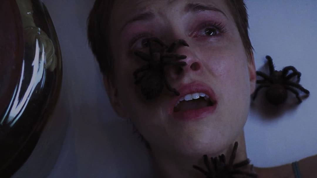 Колекціонер 2 backdrop 7