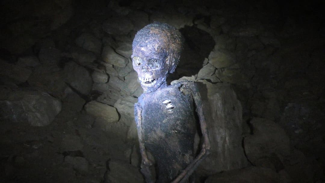 The Wilderness Tapes: Volume One backdrop 4