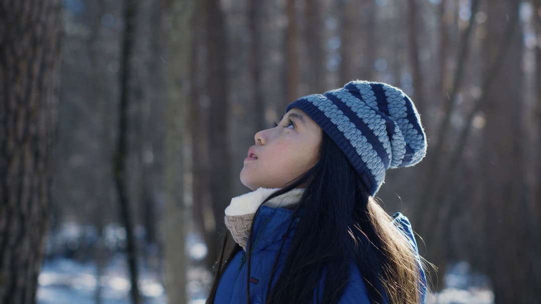 Evil Does Not Exist backdrop 7