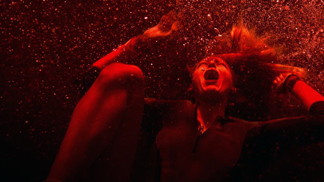 The Shallows backdrop 10