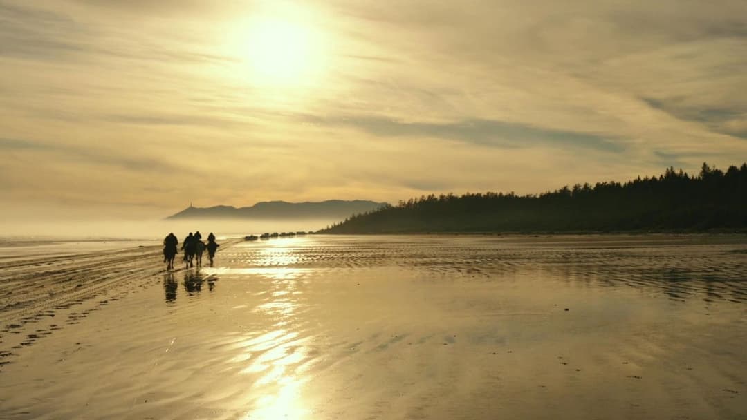 Planet der Affen - Survival backdrop 4