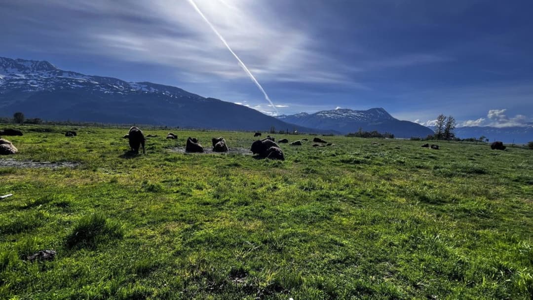 Mankind's Folly backdrop 3