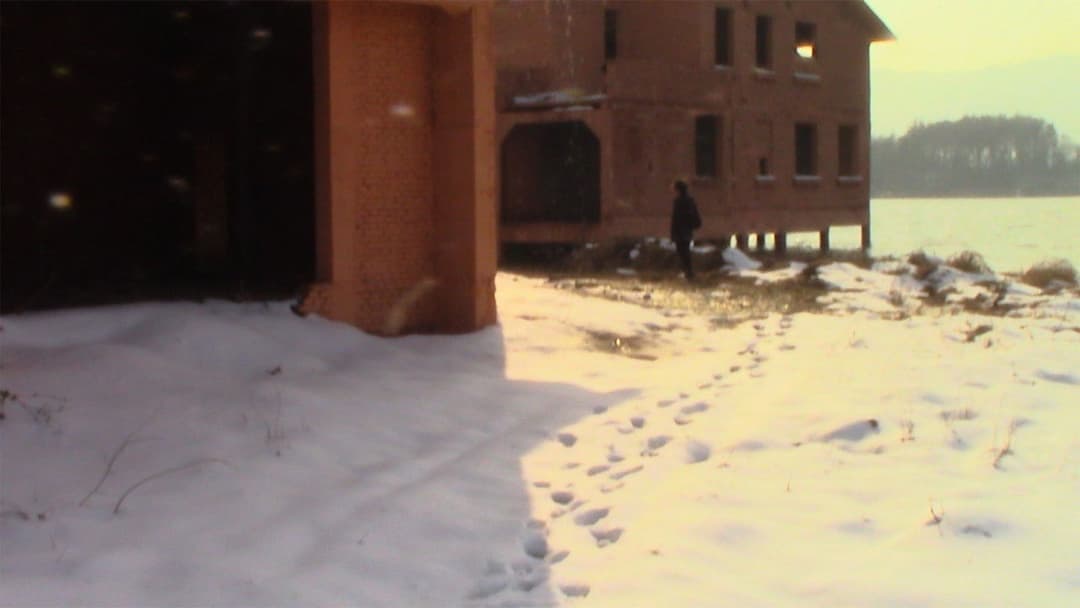 Where Comes Mulan backdrop 2