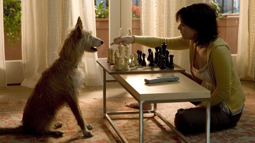 Будинок біля озера backdrop 17