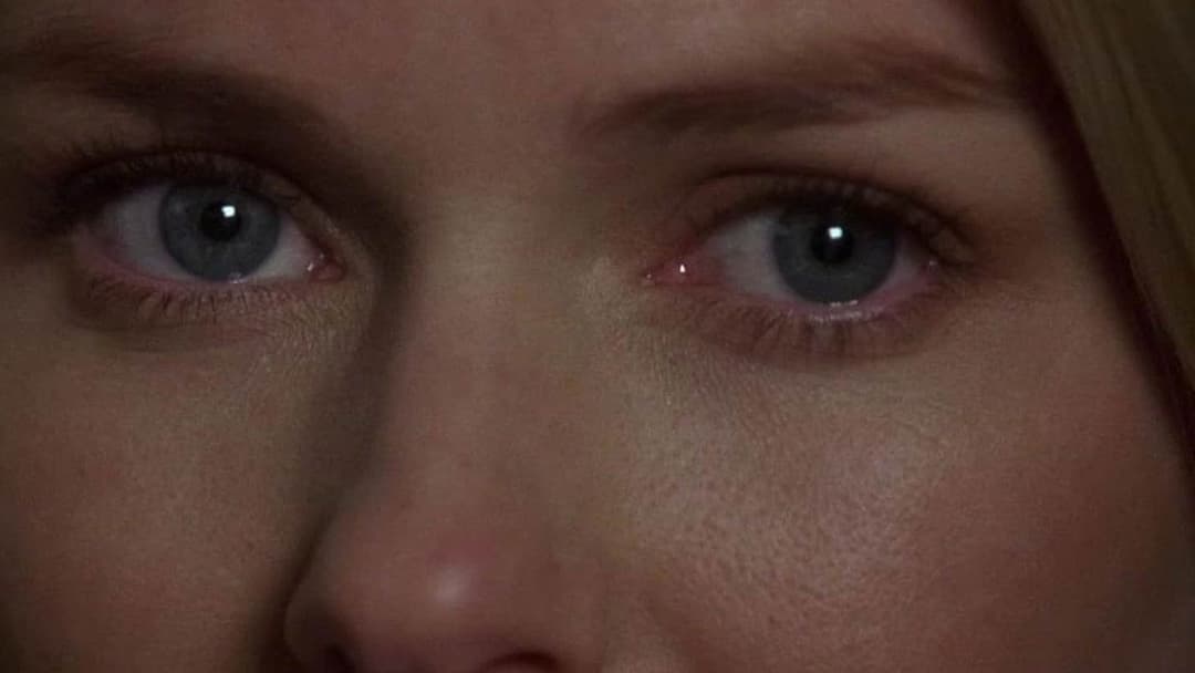 Mulholland Drive - Straße der Finsternis backdrop 14