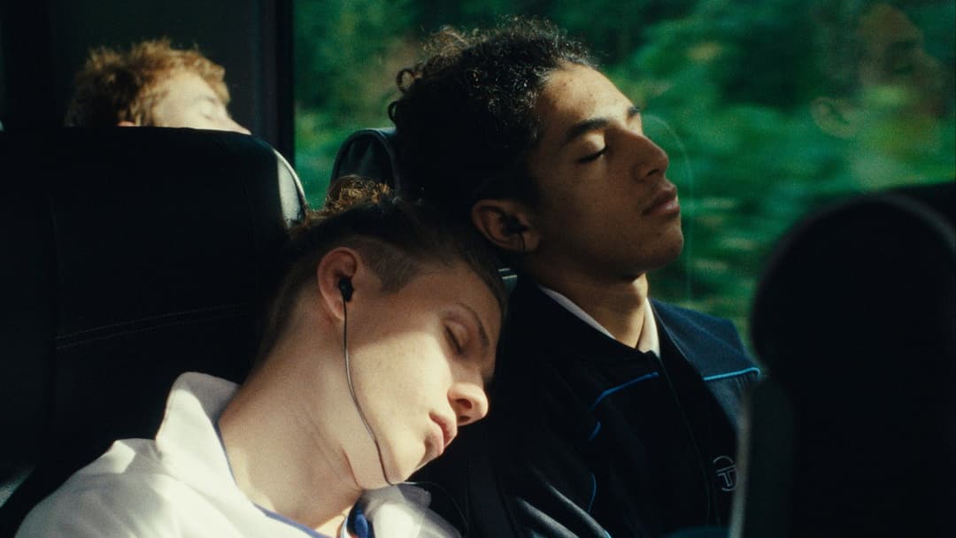 Wild Foxes backdrop 6