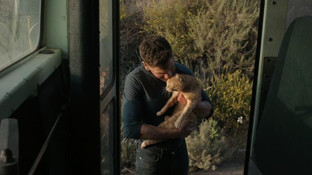 Аудитор 2 backdrop 18