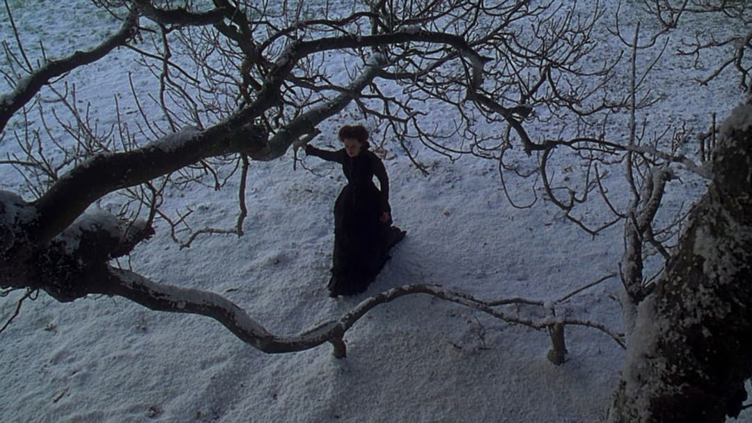 Portrait of a Lady backdrop 11