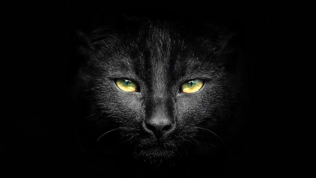 Sabrina the Teenage Witch backdrop 2