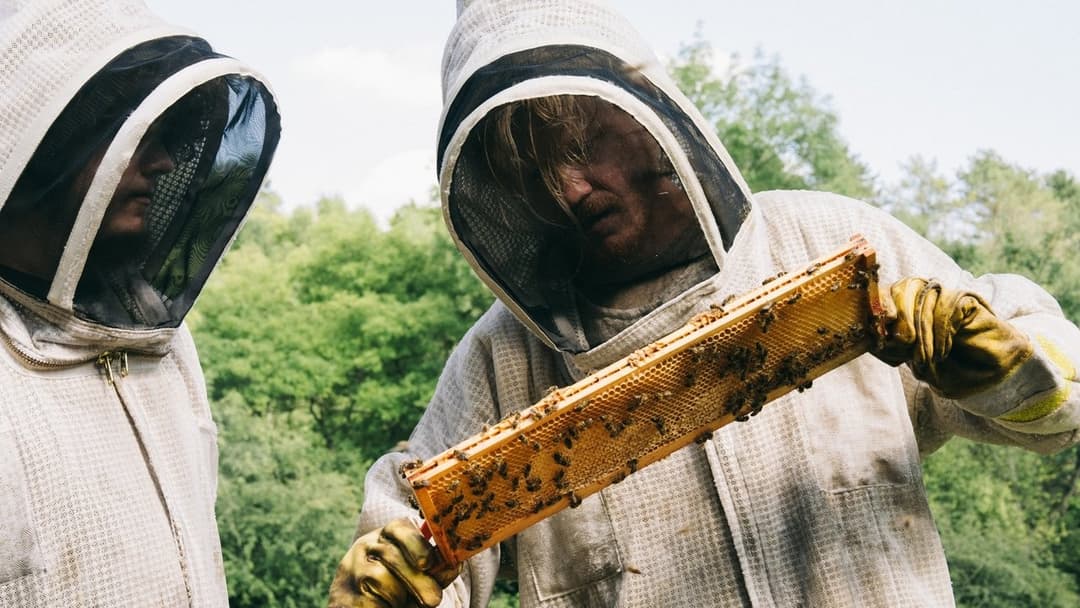 Буґонія backdrop 12