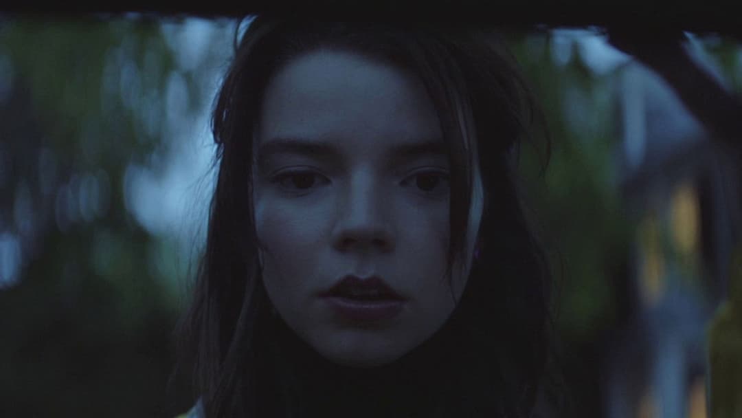 Vollblüter backdrop 7