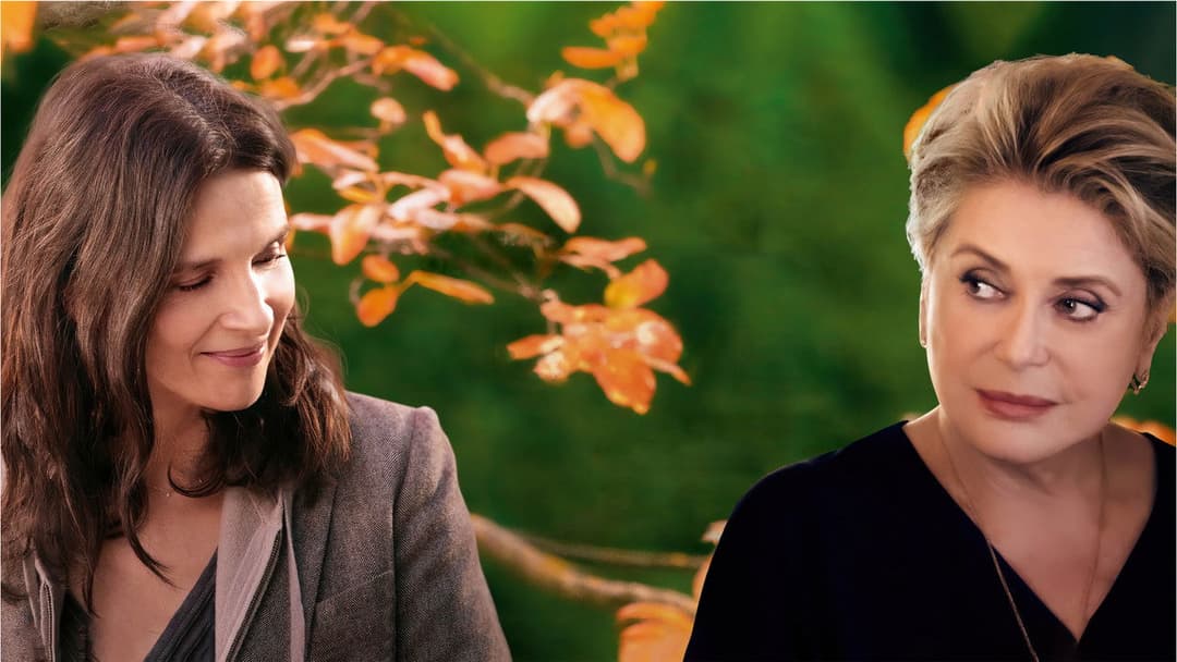 Правда backdrop 8