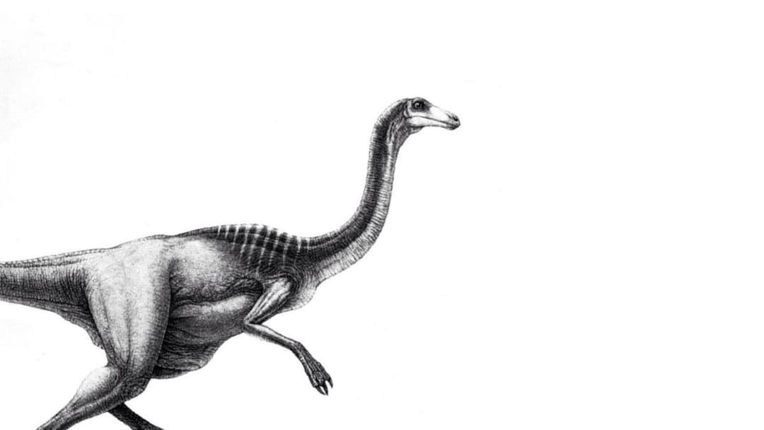 Парк Юрського періоду backdrop 20