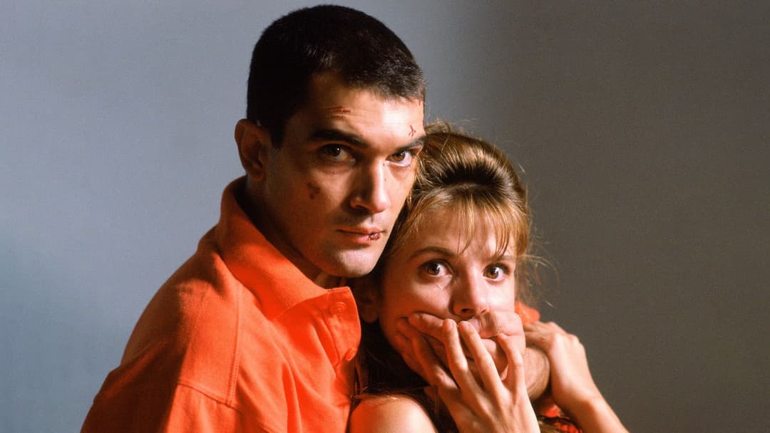 Fessle mich! backdrop 9