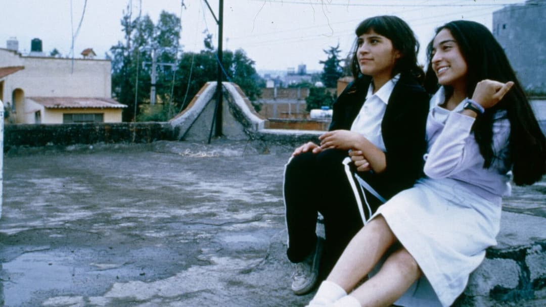 Nadie te oye: perfume de violetas backdrop 7