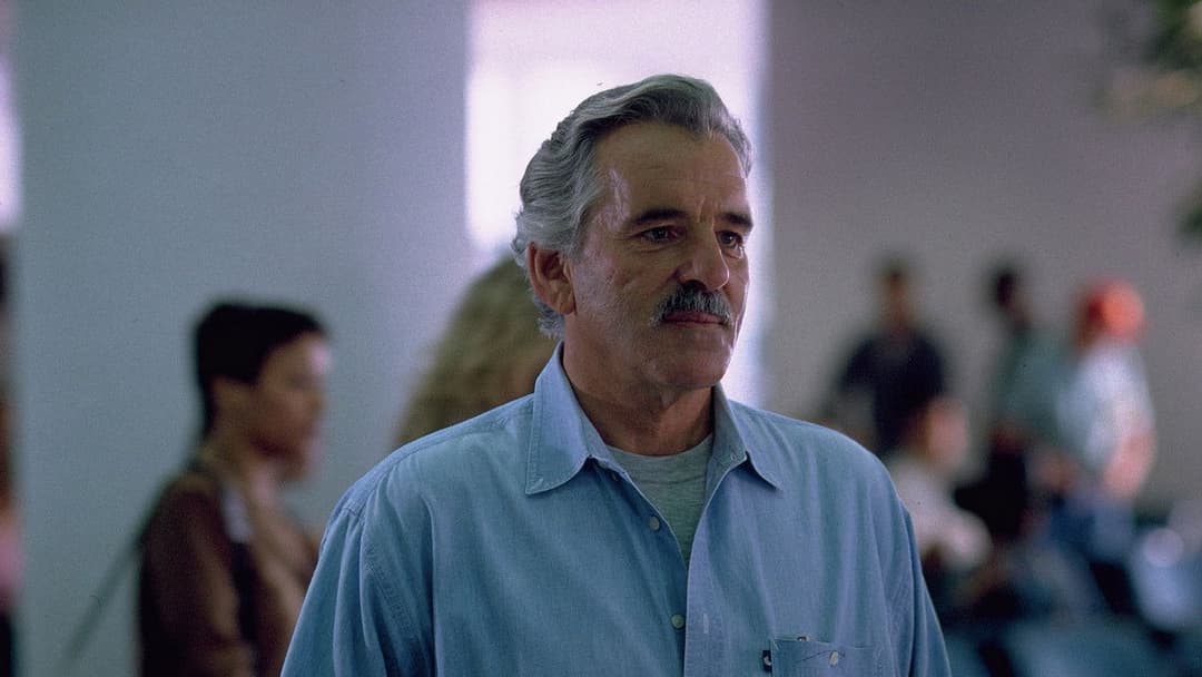 Out of Sight backdrop 20