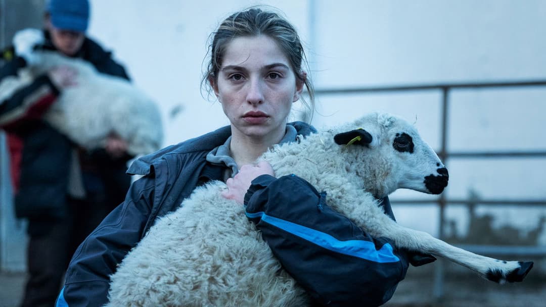 As bestas backdrop 18