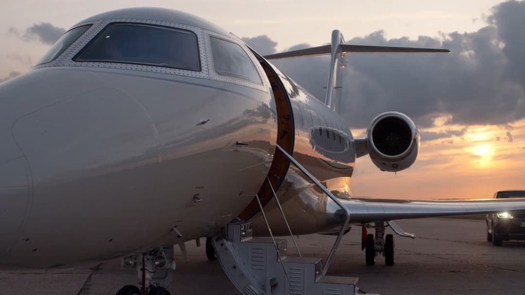 365 днів backdrop 19