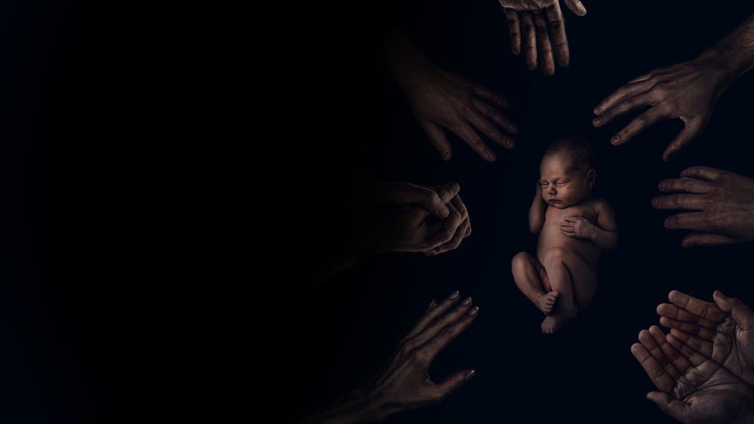 The King Tide backdrop 8