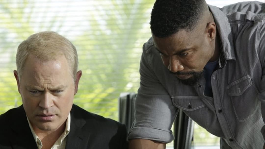 Falcon Rising backdrop 8