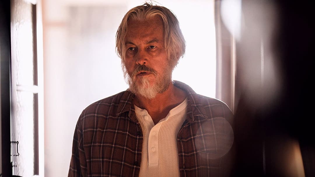 Сплячі собаки backdrop 15