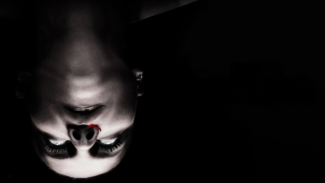 The Autopsy of Jane Doe backdrop 10