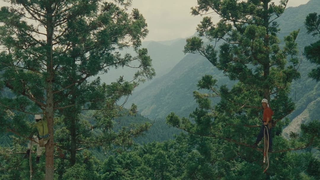 WOOD JOB! ～神去なあなあ日常～ backdrop 5