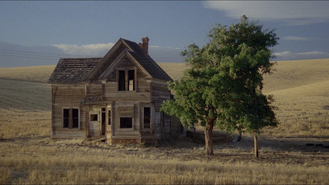 My Private Idaho backdrop 19