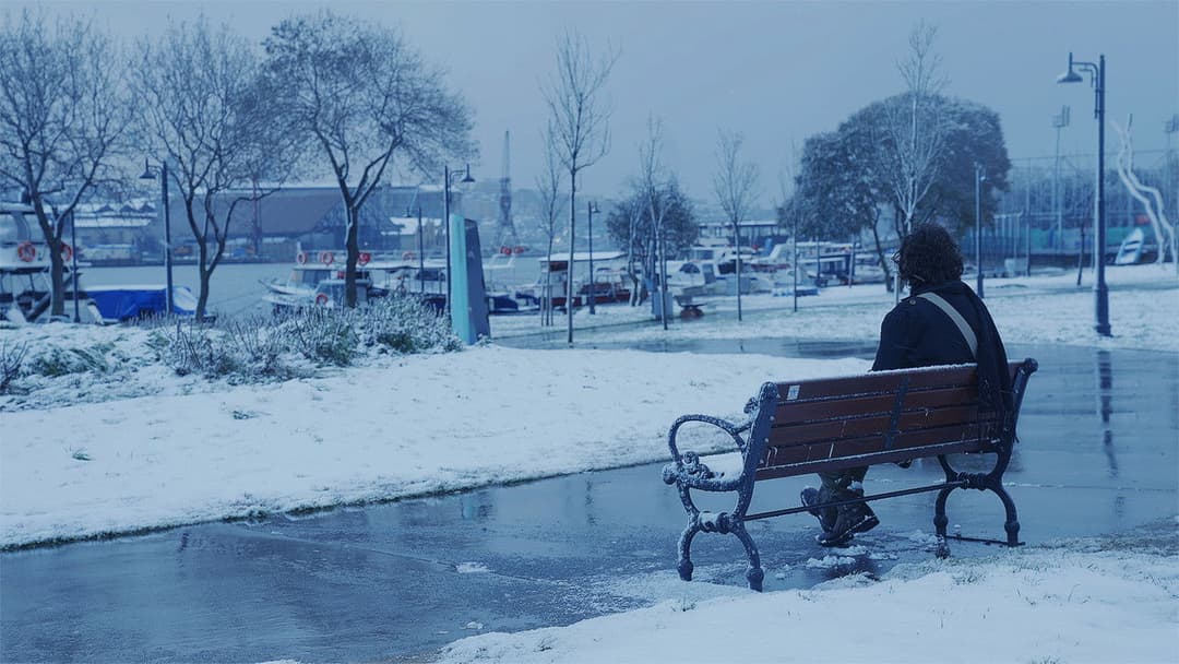 The Leaf Covered in Hoarfrost backdrop 7