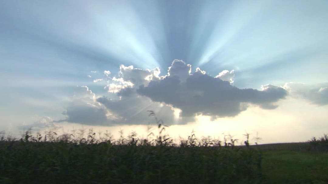 Борат: Культурні дослідження Америки на користь славної держави Казахстан backdrop 9