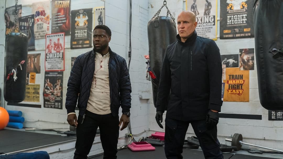 The Man from Toronto backdrop 7