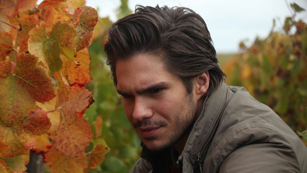 Der Wein und der Wind backdrop 15